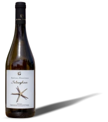 Falanghina