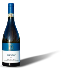 Devon
