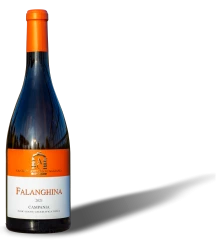 Falanghina