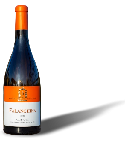 Falanghina