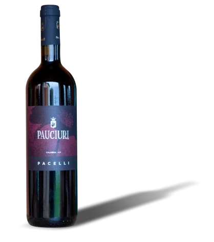 Pauciuri