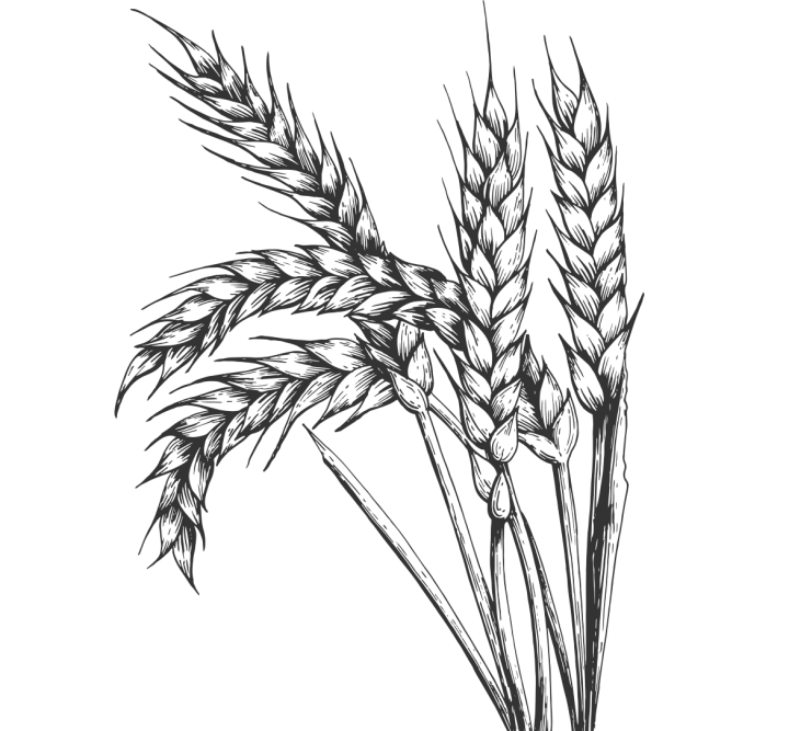 Waarom ambachtelijke pasta beter is