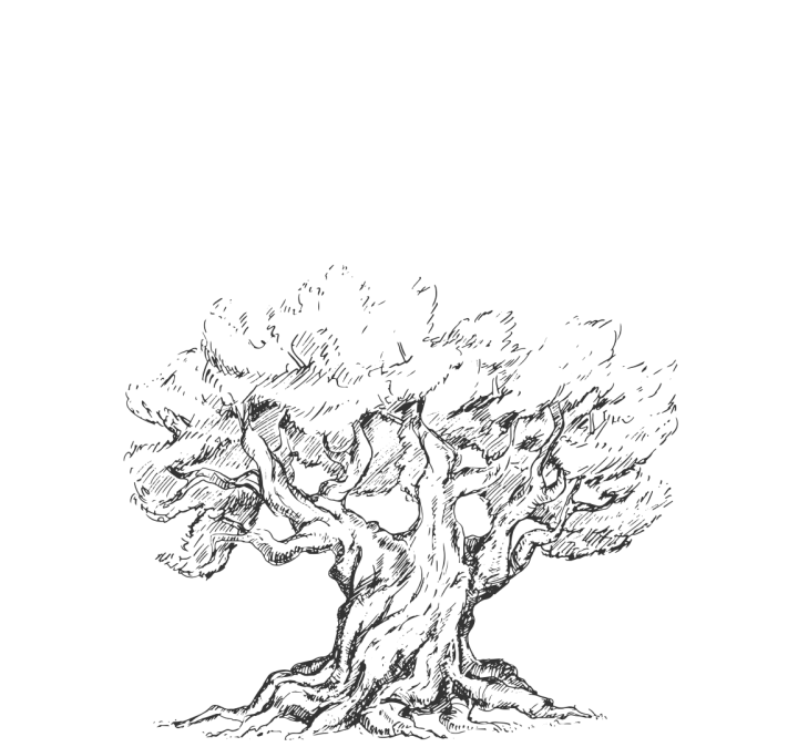 Wat maakt een olijfolie goed?